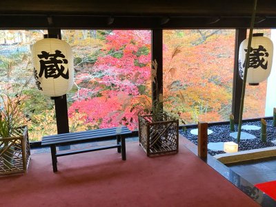 今年の紅葉は、10月25日～11月5日でした