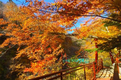 蔵の紅葉