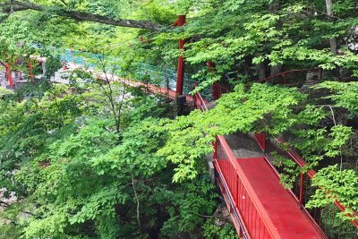 川俣の新緑は5月中旬頃です