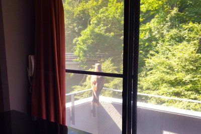 春の来訪者