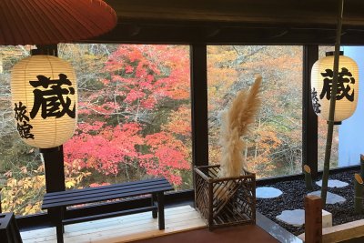 昨年の秋景色。