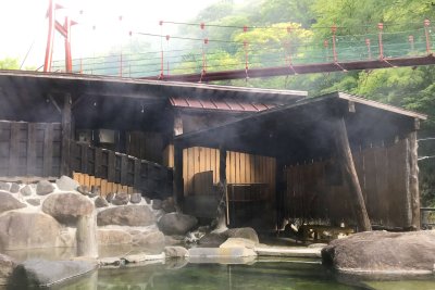 今日は温泉も元気です。