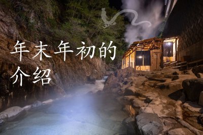介绍年末年初的计划。
