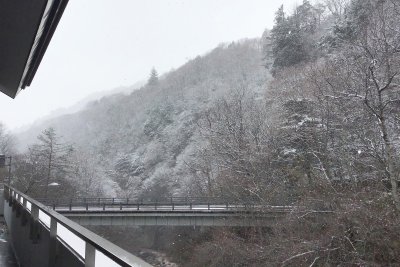昨日は雪が降りました。