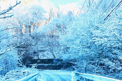 雪の季節になりました。