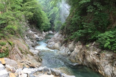 初夏も、もうすぐです。