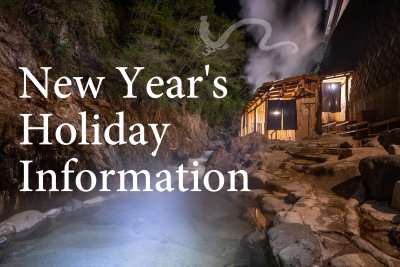 Introducing the plan for the New Year's holiday.