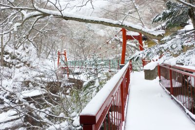 冬の吊り橋