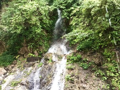 今朝の気温は16℃。雨が降ったり止んだり。