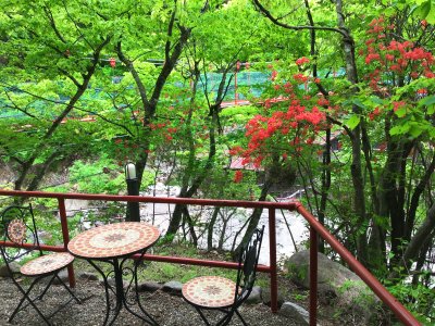 春が待ち遠しい