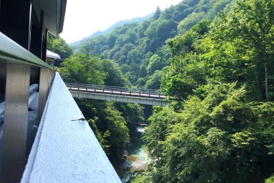 8月になりました。